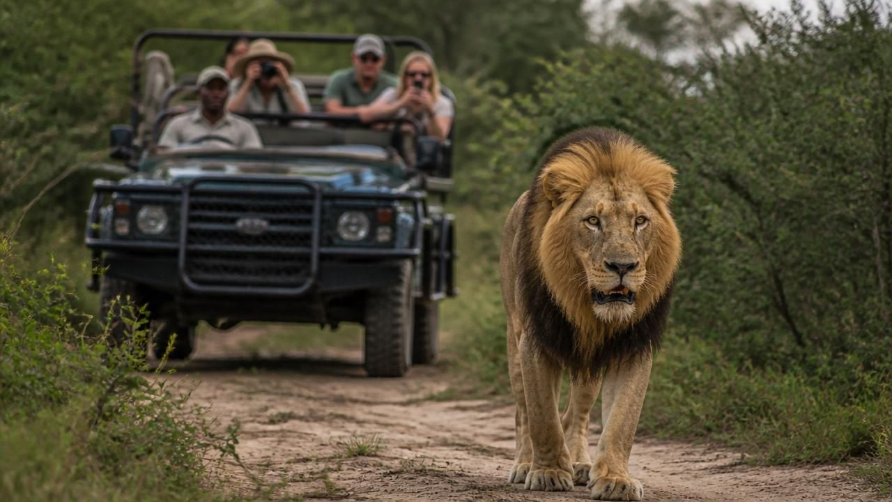 Are Humans the Ultimate Super-Predator? New Study Reveals Animals Fear Us Selectively