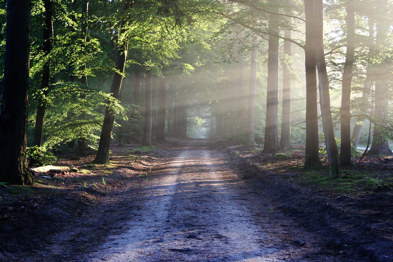 Vermont's Velomont Trail: A 485-Mile Accessible Adventure for All