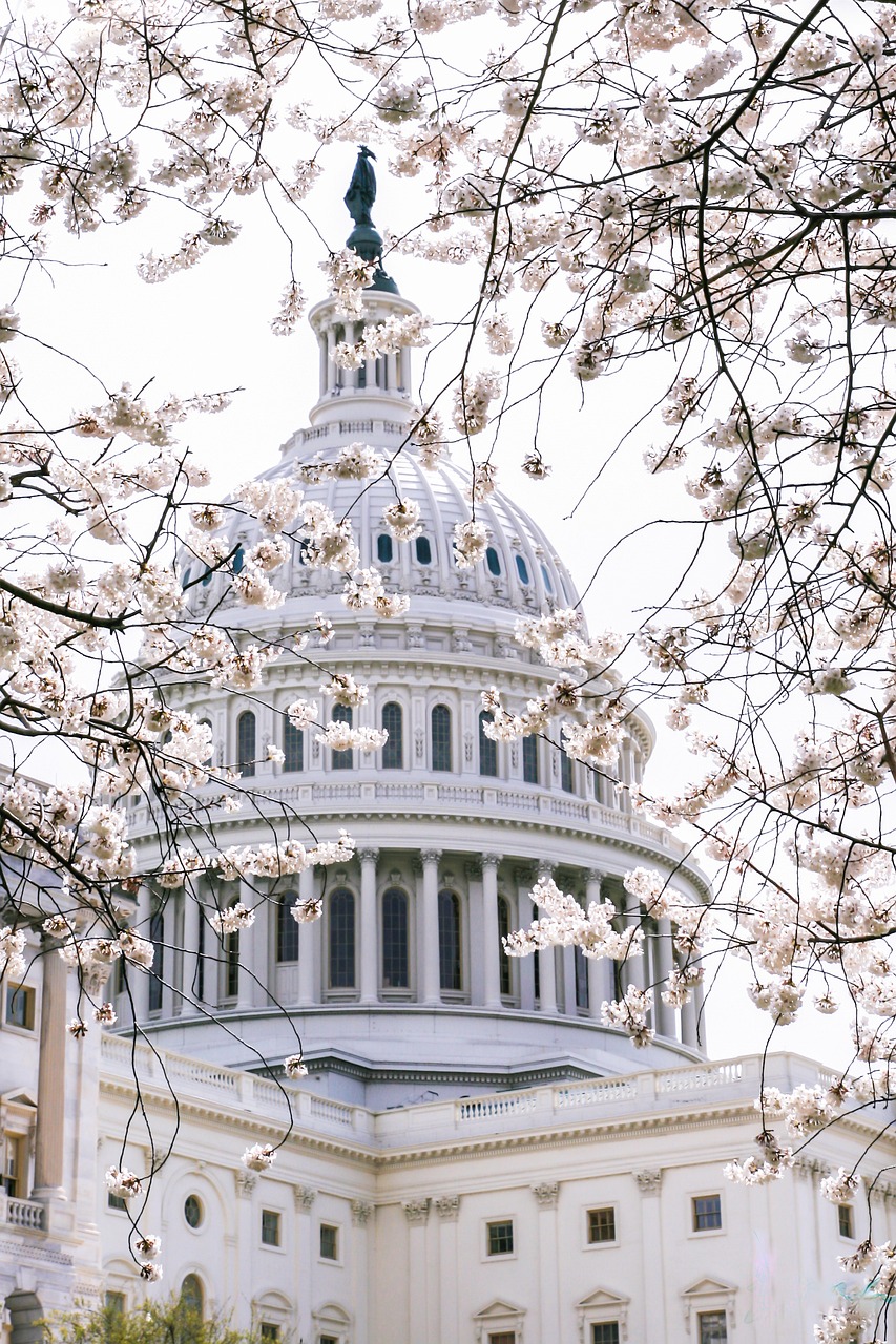 Graham Platner Ends Senate Bid Amid Rape Allegation; Nolan Wells Death Gains National Attention