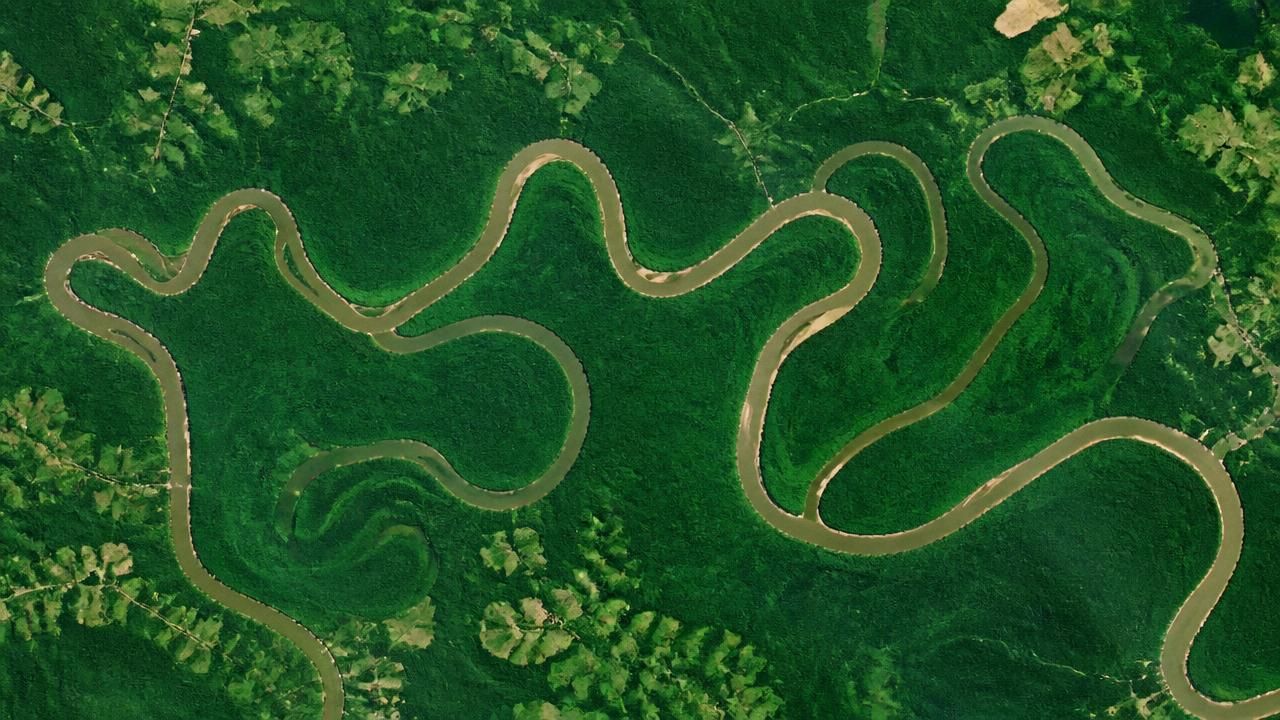 Congaree National Park: A Satellite View of America's Hidden Floodplain Forest