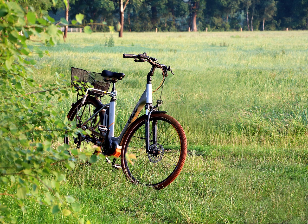 Rivian's E-Bike Spinout Also Finally Ships TM-B, Raises $150M for Driverless Delivery