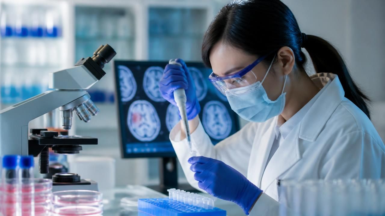 Stem Cell Transplants Reverse Stroke Damage in Mice, Restoring Movement