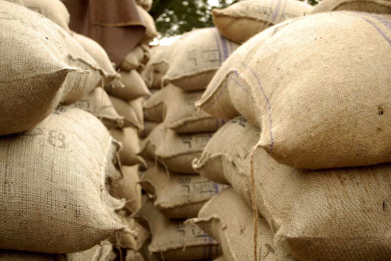 Ghana's 6% Cocoa Price Hike Plan Widens Smuggling Risks Across West Africa