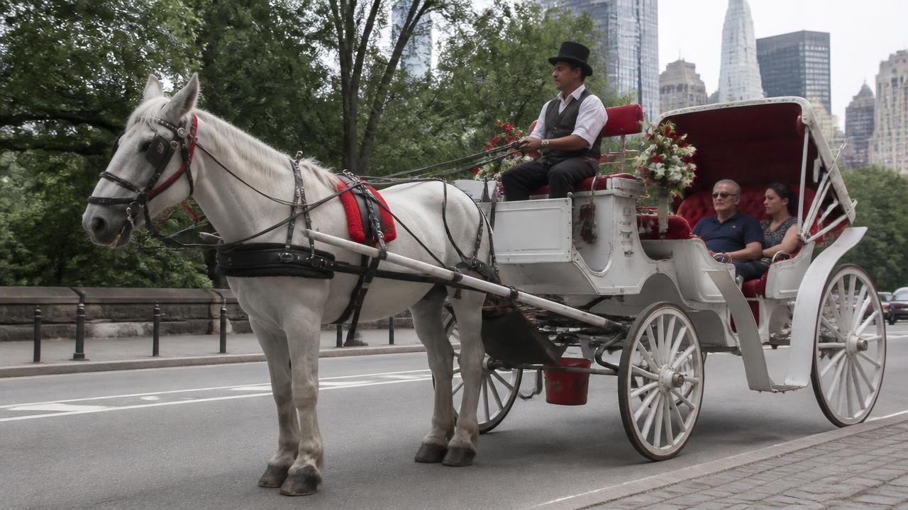 NYC Reaches Deal to Ban Horse-Drawn Carriages in Central Park by 2028